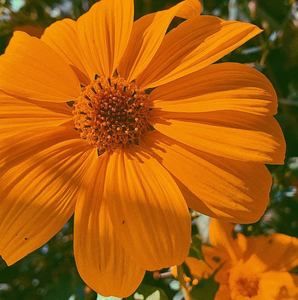 Meet your Posher, Marilou